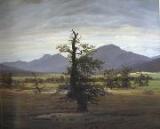 Landscape with Solitary Tree (mk10) Caspar David Friedrich